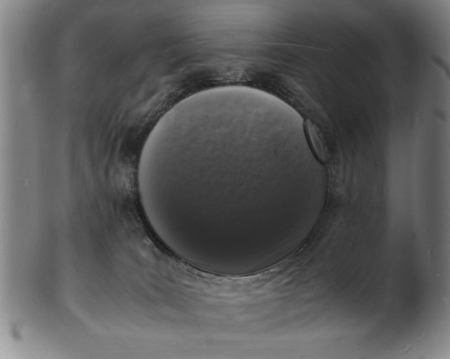 X0000101480035200807211409