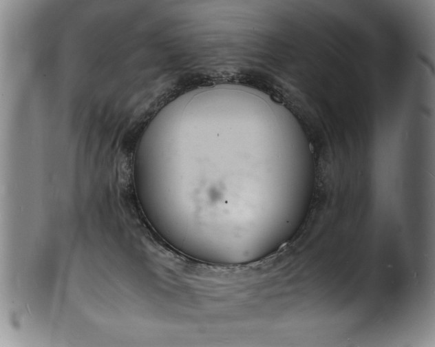 X0000101480037200807211409