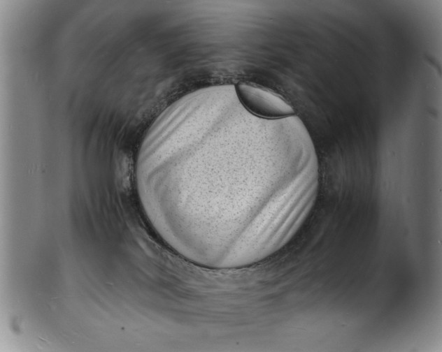 X0000101480038200807211409