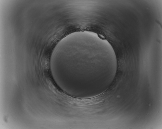 X0000101480039200807211409