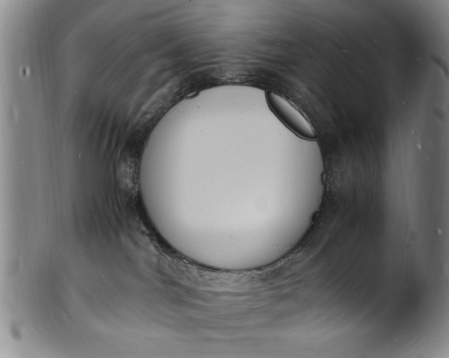 X0000101480044200807211409