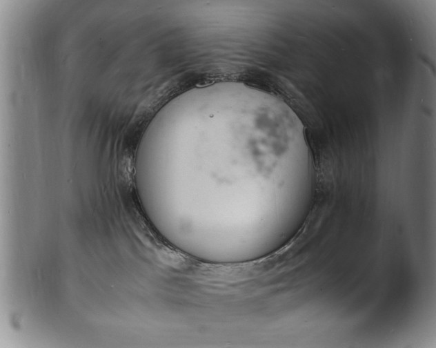 X0000101480045200807211409