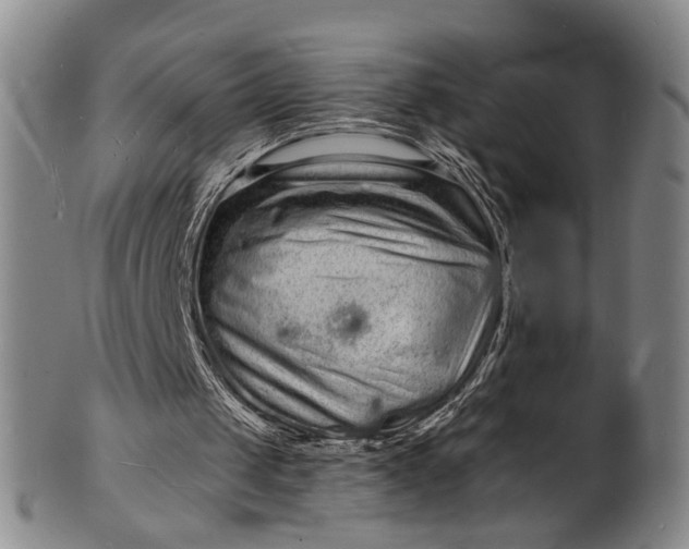 X0000101480049200807211408