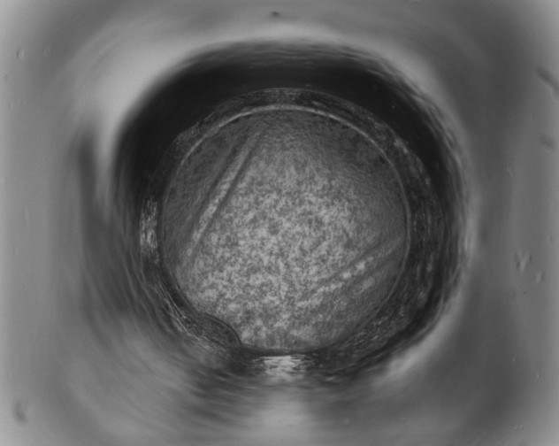 X0000101480050200807211408