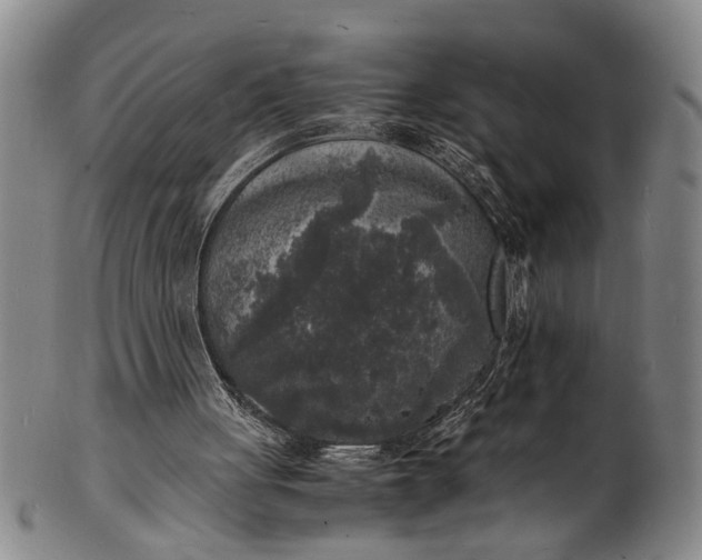 X0000101480051200807211408