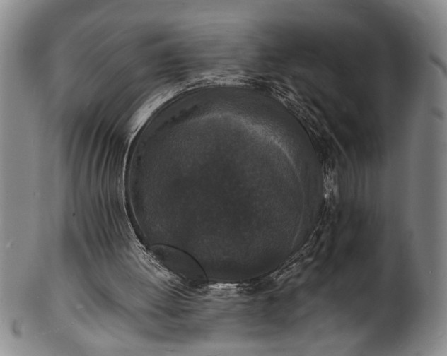 X0000101480052200807211408