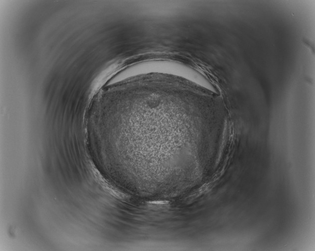 X0000101480053200807211408