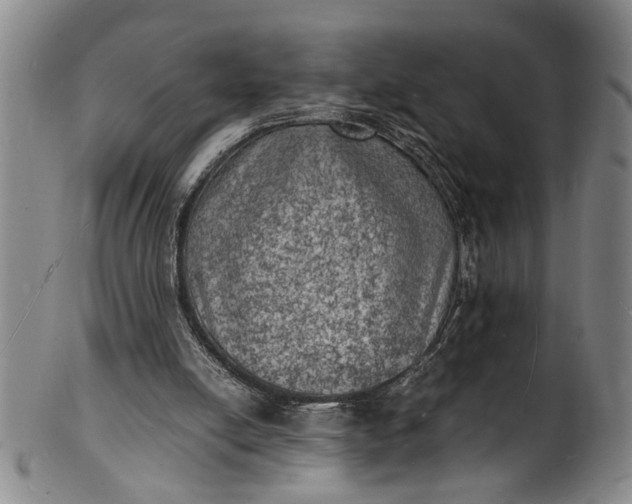 X0000101480054200807211408