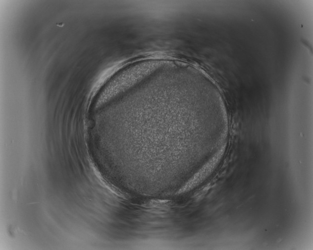 X0000101480055200807211408