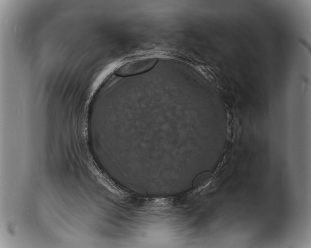 X0000101480056200807211408