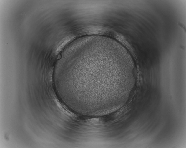 X0000101480058200807211408