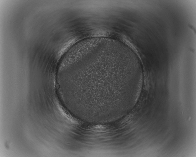 X0000101480059200807211408