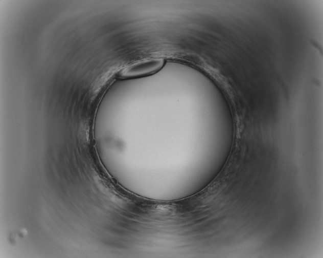 X0000101480060200807211408