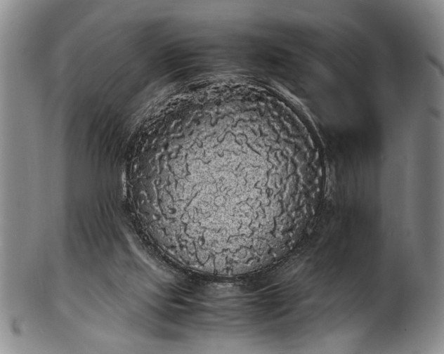 X0000101480061200807211408