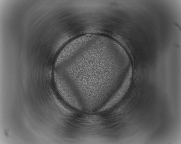 X0000101480063200807211408