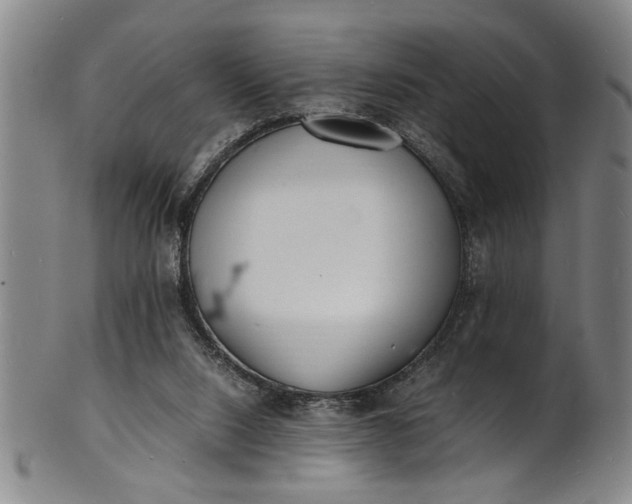 X0000101480064200807211408