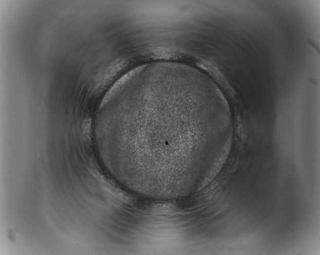 X0000101480066200807211408