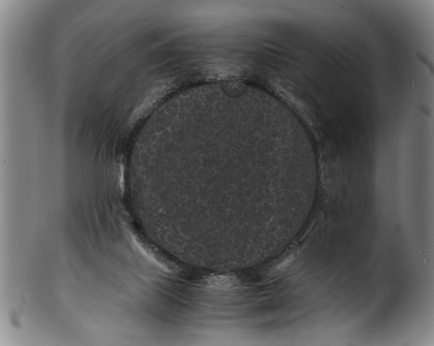 X0000101480067200807211408