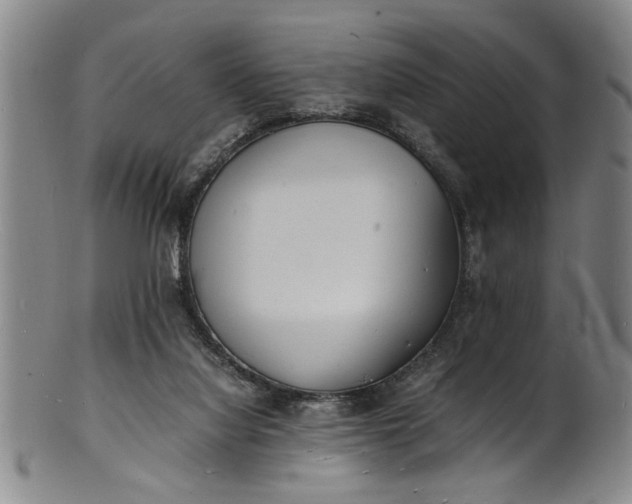 X0000101480068200807211408