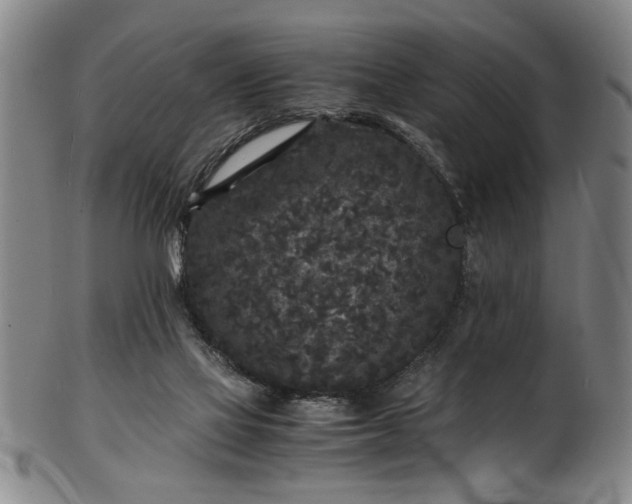 X0000101480069200807211408