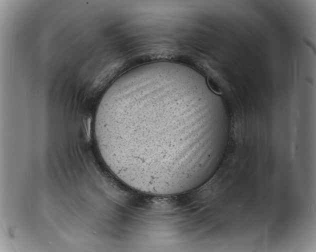 X0000101480070200807211408