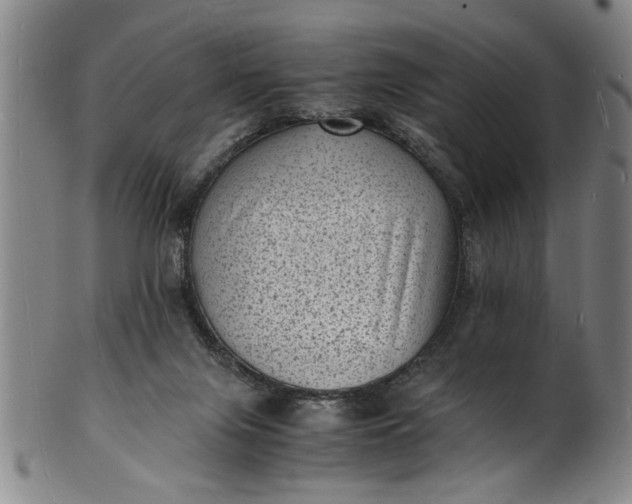 X0000101480071200807211409