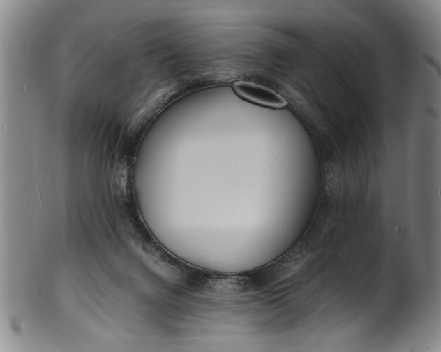 X0000101480072200807211409