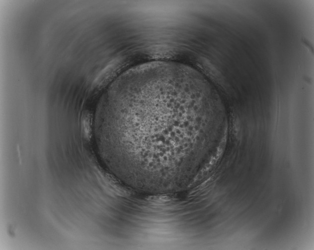 X0000101480074200807211409