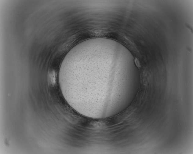 X0000101480075200807211409