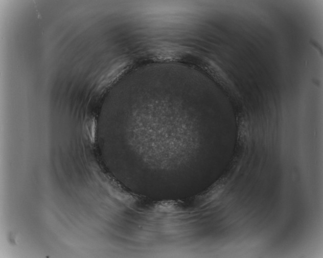 X0000101480076200807211409