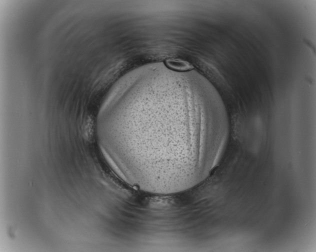 X0000101480077200807211409