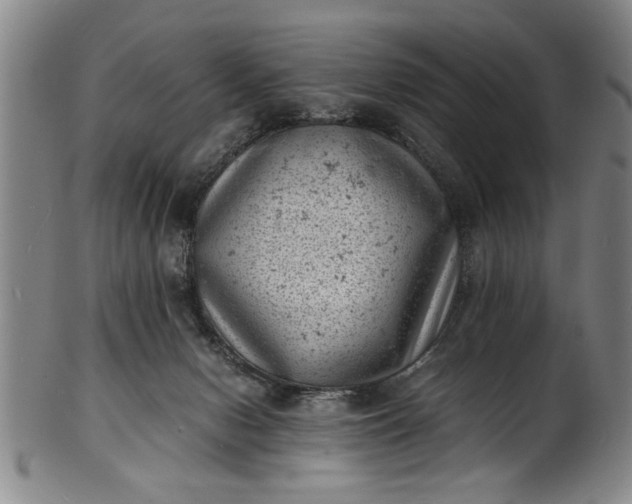 X0000101480078200807211409