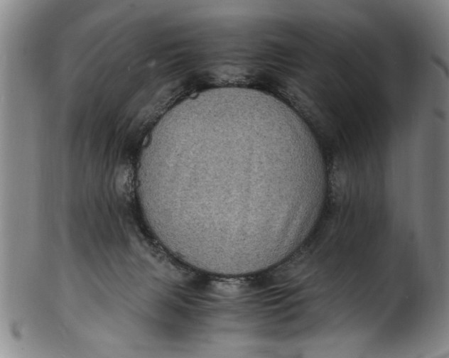 X0000101480079200807211409