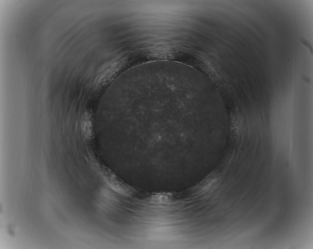 X0000101480080200807211409