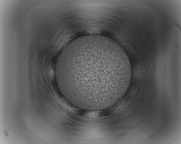 X0000101480084200807211409