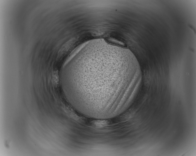 X0000101480085200807211409