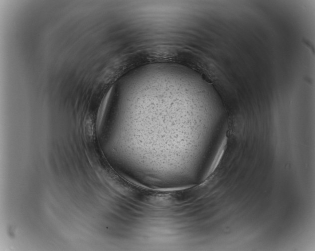 X0000101480086200807211409