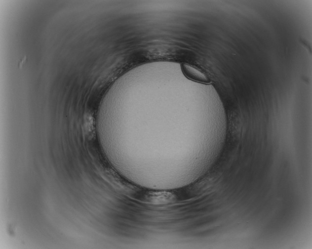 X0000101480087200807211409