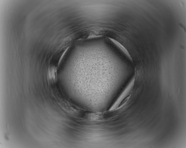 X0000101480094200807211409