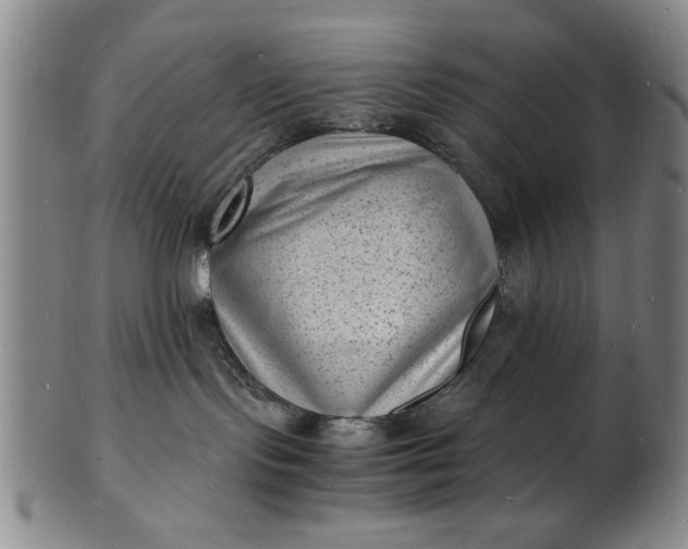 X0000101480095200807211409