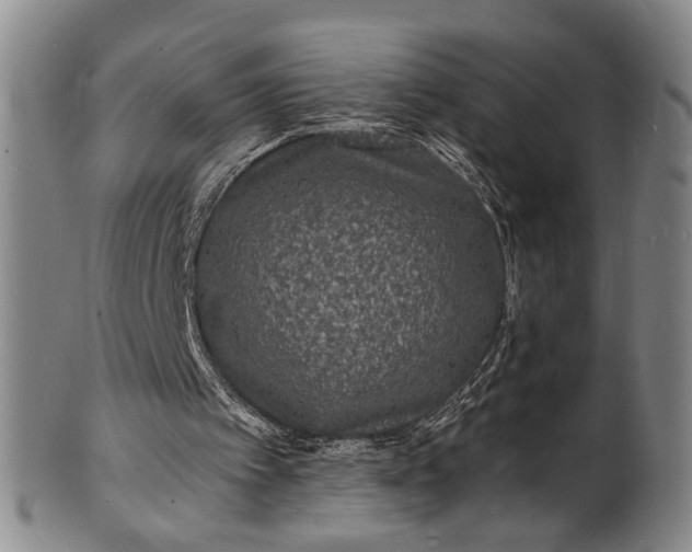 X0000101480097200807211408