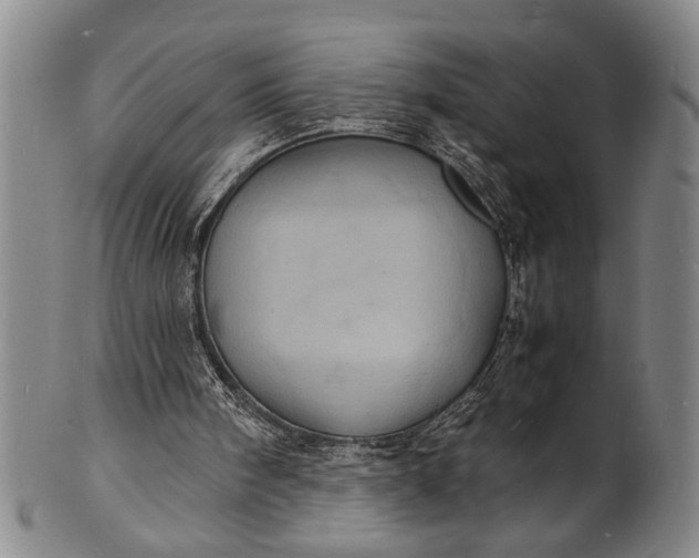 X0000101480098200807211408