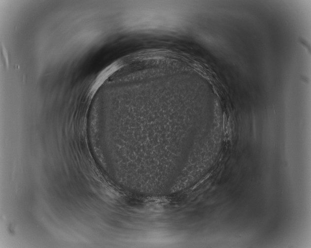 X0000101480099200807211408