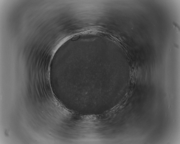 X0000101480100200807211408