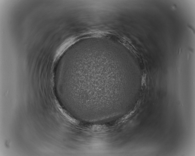 X0000101480101200807211408