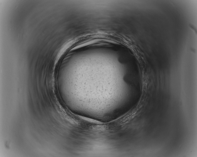 X0000101480102200807211408