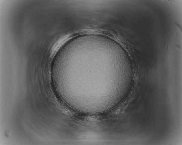 X0000101480103200807211408