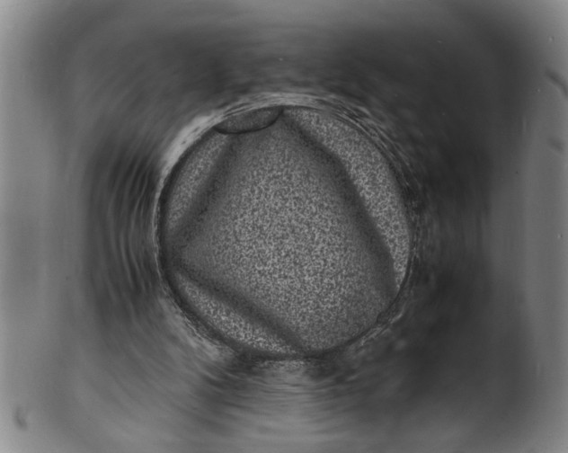 X0000101480104200807211408