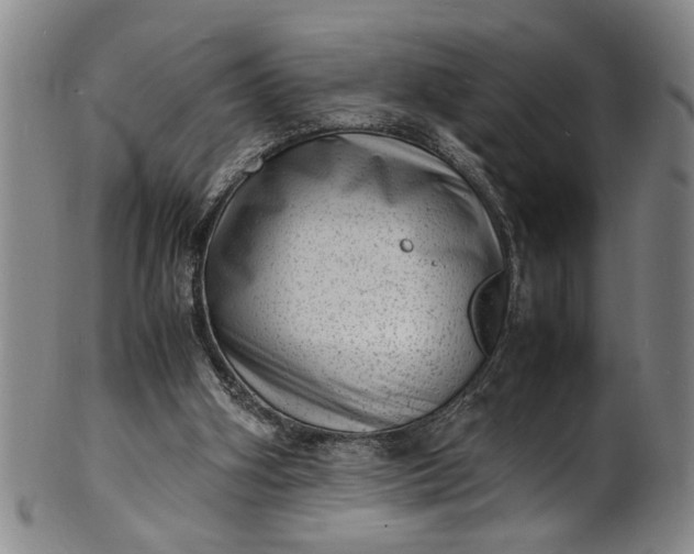 X0000101480106200807211408