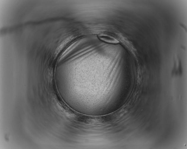 X0000101480107200807211408